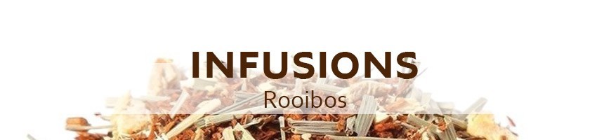 Rooibos
